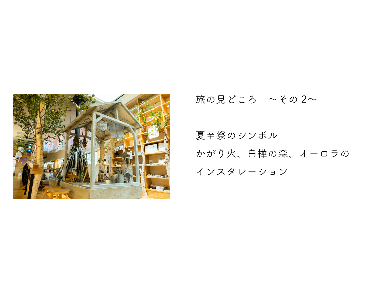 web-1