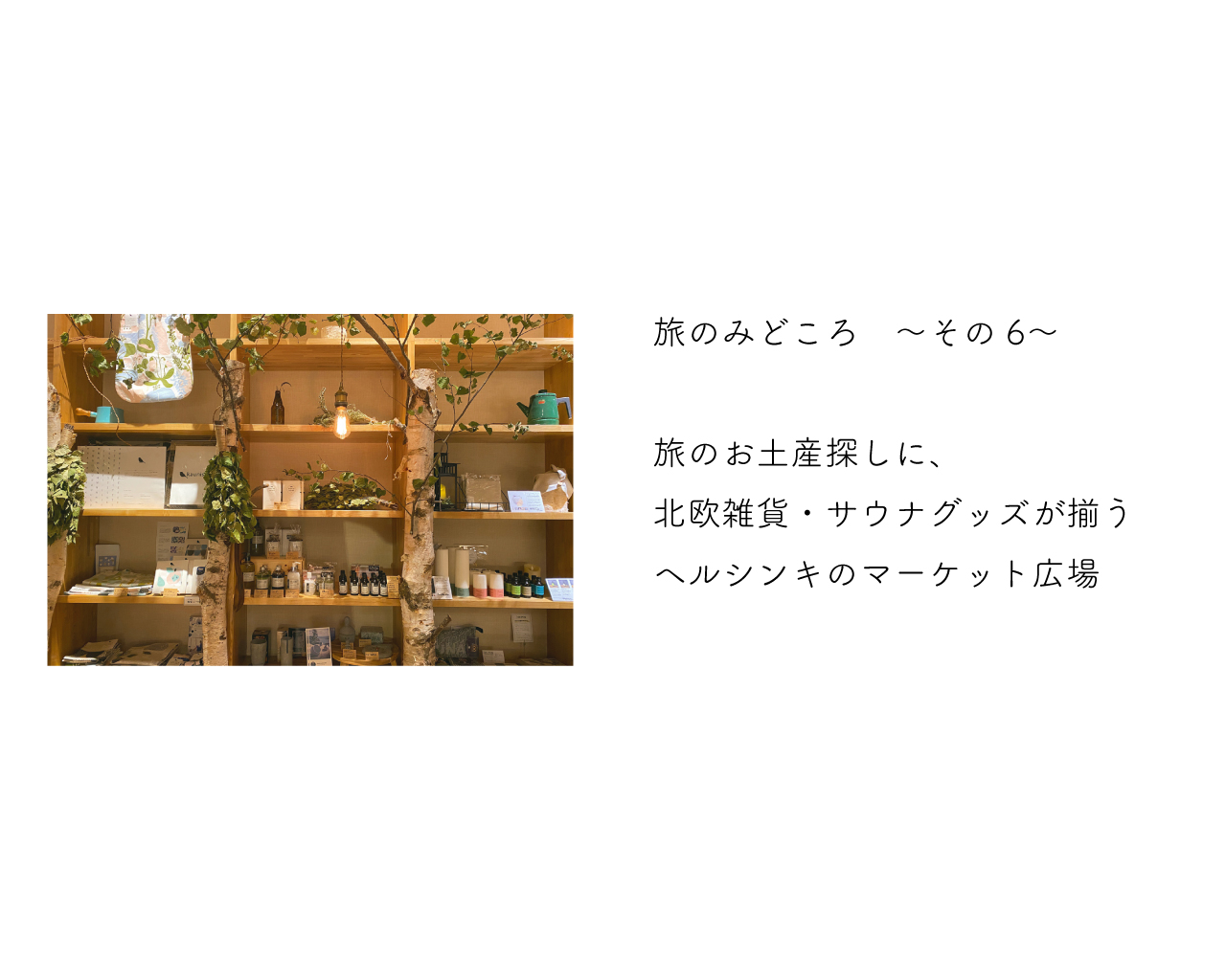 web6